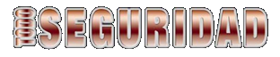 Todo Seguridad, Revista Digital